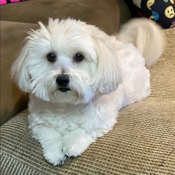 Meet your Posher, Wendy - Picture 1 of 1